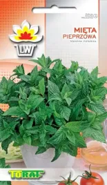 mieta-pieprzowa-mentha-piperita-nasiona-ziol-01g