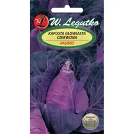 kapusta-stozkowa-kalibos-05-nasion-bardzo-smaczna-fioletowa-plenna