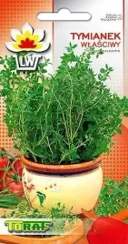 tymianek-wlasciwy-nasiona-ziol-05g-caly-rok