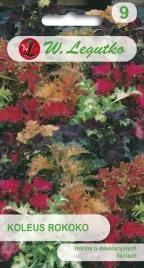 nasiona-mieszanka-roslin-koleus-blumego-rokoko-mieszanka-002-g