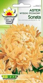 aster-wysoki-peoniowy-sonata-nasiona-toraf