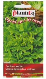 salata-debolistna-zielona-dubacek-nasiona-05g