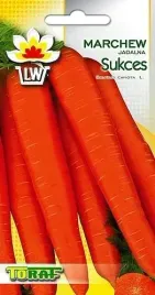 marchew-holenderska-pozna-vita-longa-5g