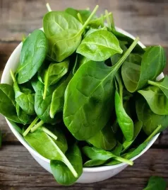 szpinak-matador-zimujacy-szybki-wzrost-pyszny-smaczny-uprawy-rocznej-10g