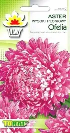 aster-peoniowy-ofelia-nasiona-kwiatow-1g-toraf-rabat-y-kwaty-ciete