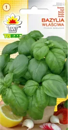 bazylia-wlasciwa-zielona-toraf-1g-nasiona-bazylii-jednorocznej-zielonej