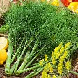 koper-ogrodowy-szmaragd-3g-idealny-do-kwaszenia-duzo-wit-c