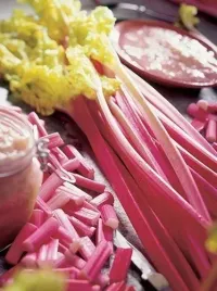 bylina-rabarbar-rheum-goliath-sadzonka-1szt-w472