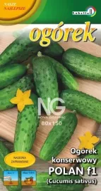 ogorek-konserwowy-polan-f1-plenny-odporny-wczesny-5-gram-nasiona