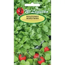 roszponka-warzywna-verte-de-cambari-legutko-nasiona-na-salatki