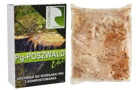 eko-grzybnia-do-rozkladu-pni-drzew-i-kompostowania