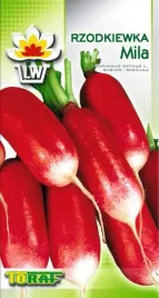 rzodkiewka-mila-lagodny-smak-do-siewu-jesiennego