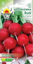 rzodkiewka-wczesna-rudi-do-caorocznej-uprawy