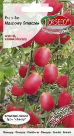 pomidor-malinowy-smaczek-typu-cherry-nasiona-01g