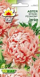 aster-peoniowy-janina-nasiona-kwiatow-1g-toraf-kwiaty-ciete-dlugo-kwitnie