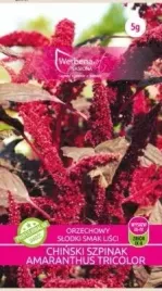 szpinak-chinski-amaranthus-tricolor-5g-werbena-art