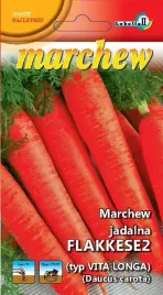 marchew-holenderska-pozna-vita-longa-5g