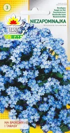 niezapominajka-niebieska-niska-piekna-nasiona-03g
