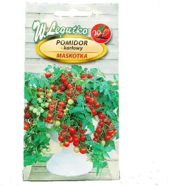 pomidor-karlowy-maskotka-najplenniejszy-na-balkon-nasiona-taras