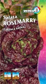 salata-glowiasta-gruntowa-rosemarry-nasiona