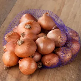 cebula-dymka-szalotka-red-sun-025-kg-smaczna-zdrowa-odporna-jakosc