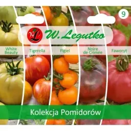 kolekcja-pomidorow-faworyt-figiel-tigerella-white-beauty-nore-de-creme