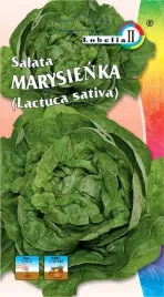 salata-glowiasta-marysienka-nasiona-wczesna-na-zbior-caly-rok-nasiona