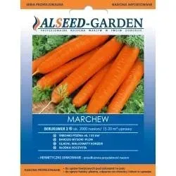 marchew-berlikumer-2-alseed-soczysta-nasiona-profesjonalne-holenderskie