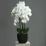 podloze-do-storczykow-ziemia-orchidea-substral-3l-kod-producenta-5907487101310