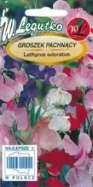 groszek-pachnacy-mieszanka-kolorow-dorasta-do-15m