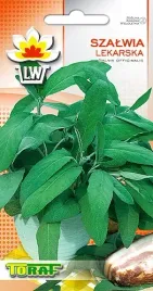 szalwia-lekarska-nasiona-ziol-1g-wieloletnia