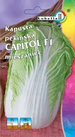 kapusta-pekinska-capitol-plenna-odporna-na-choroby-wczesna