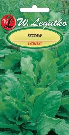 nasiona-szczaw-zwyczajny-lyonski-2g-wytrzymaly-na-niskie-temperatury-plenny