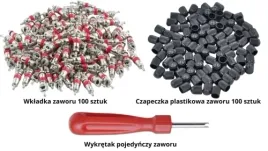zestaw-do-zaworow-wkladka-czapeczka-wkretak-zaworu