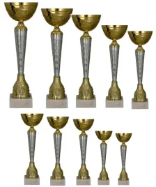zestaw-10-pucharow-gradacja-40-27-cm-opis-emblemat-dziesiatka-pucharow