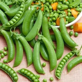 groch-ambrosia-cukrowy-latwy-w-uprawie-plenny-nasiona-toraf