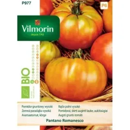 pomidory-vilmorin-pomidor-gruntowy-pantano-romanesco-bio-05-g