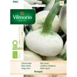 vilmorin-cebula-biala-pompei-bio-2-g-nasiona-2g-idealna-na-szczypior