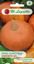 kabaczki-i-cukinie-dynia-olbrzymia-karowita-bis-nasiona-3-g