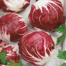 cykoria-czerwona-salatowa-palla-rossa-3-bogactwo-witamin-nasiona
