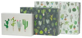 zestaw-3-pudelek-goldbuch-cactus-box-na-prezent