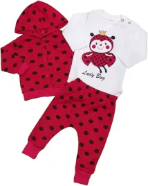 komplet-niemowlecy-3-el-body-bluza-spodnie-r-74