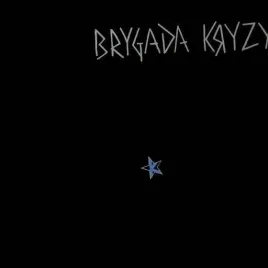 brygada-kryzys-na-40-lecie-lp-brygada-kryzys