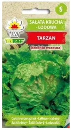 salata-krucha-lodowa-tarzan-srednio-wczesna-1g-nasiona-toraf