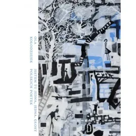 jestem-tu-jedna-jedyna-glosy-polskich-poetek