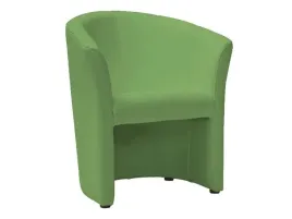 tapicerowany-fotel-tm-1-zielony-ekoskora-salon-biu