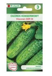 ogorek-wisconsin-gruntowy-konserwowy-nasiona-popularna-odmiana-5g