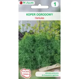 koper-ogrodowy-nasiona-kopru-tradycyjne-herkules-5g
