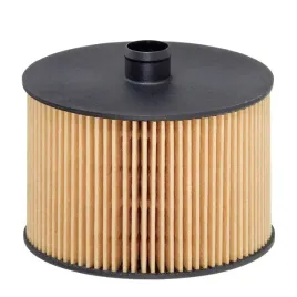 filtr-paliwa-hengst-e79kp-d118-citroen-c4-c5-c8-jumpy-2-0-hdi