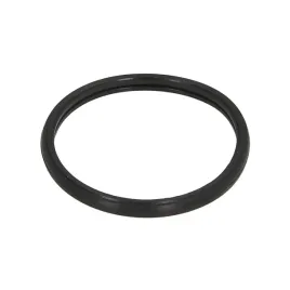 uszczelka-termostatu-isuzu-d-max-06-12-2-5-3-0